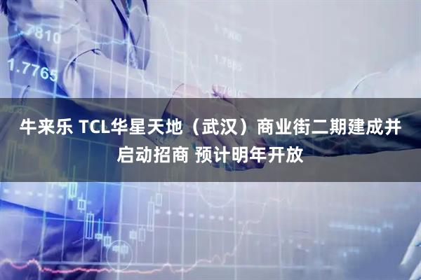 牛来乐 TCL华星天地（武汉）商业街二期建成并启动招商 预计明年开放