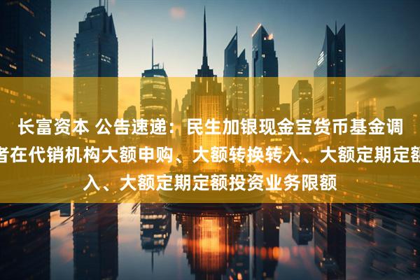 长富资本 公告速递：民生加银现金宝货币基金调整非个人投资者在代销机构大额申购、大额转换转入、大额定期定额投资业务限额