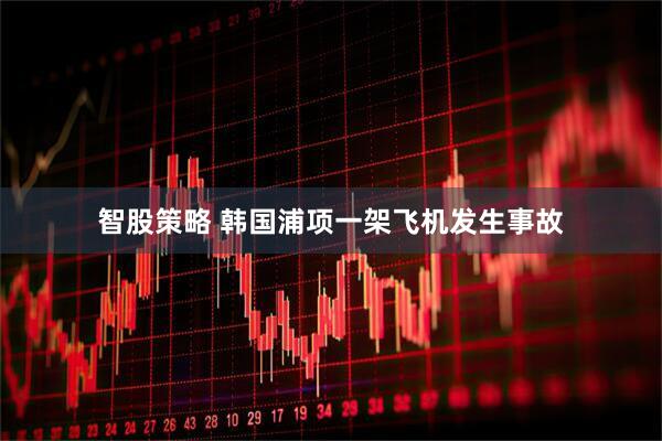 智股策略 韩国浦项一架飞机发生事故