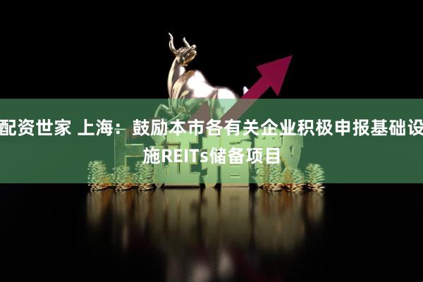 配资世家 上海：鼓励本市各有关企业积极申报基础设施REITs储备项目