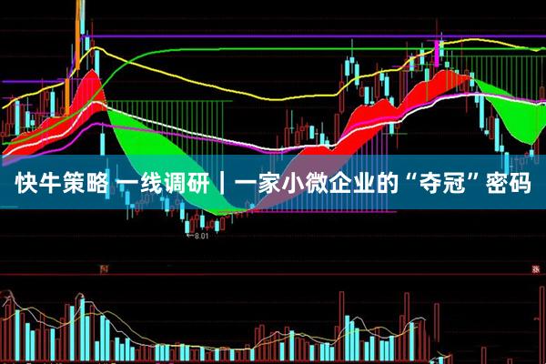 快牛策略 一线调研｜一家小微企业的“夺冠”密码
