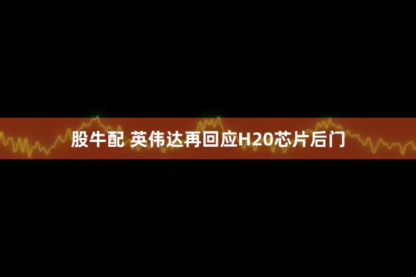 股牛配 英伟达再回应H20芯片后门